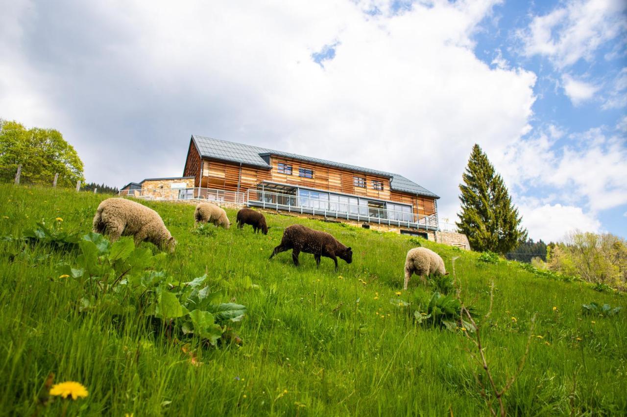 Amenity Hotel & Resort Spindleruv Mlyn Exterior photo